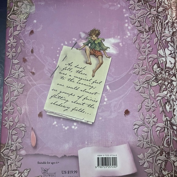 Do You Believe In Fairies? A Flower Fairies Journal - Picture 2 of 12